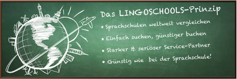 Lingo Schools